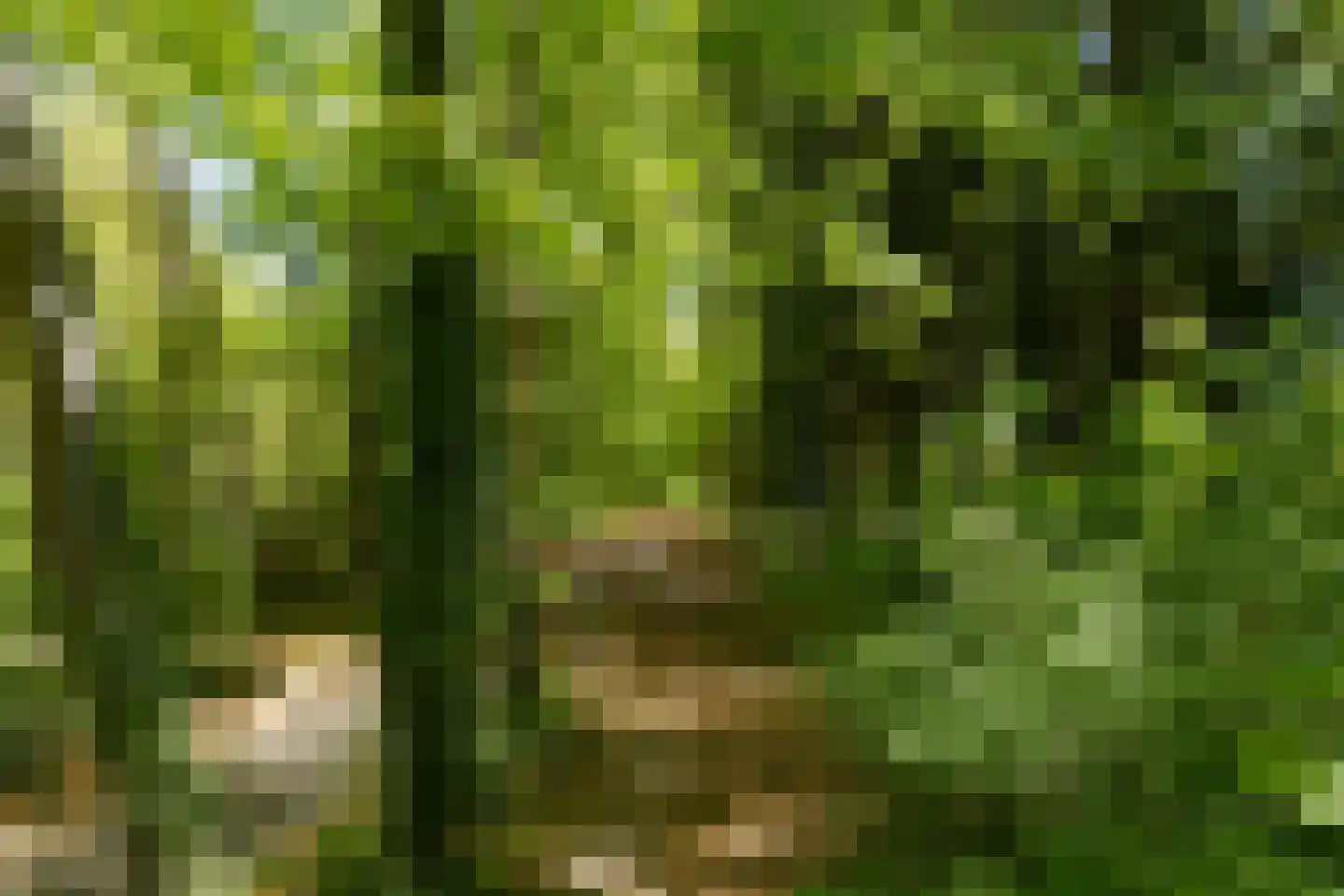 Uytenbosch 38 Baarn thumbnail 61