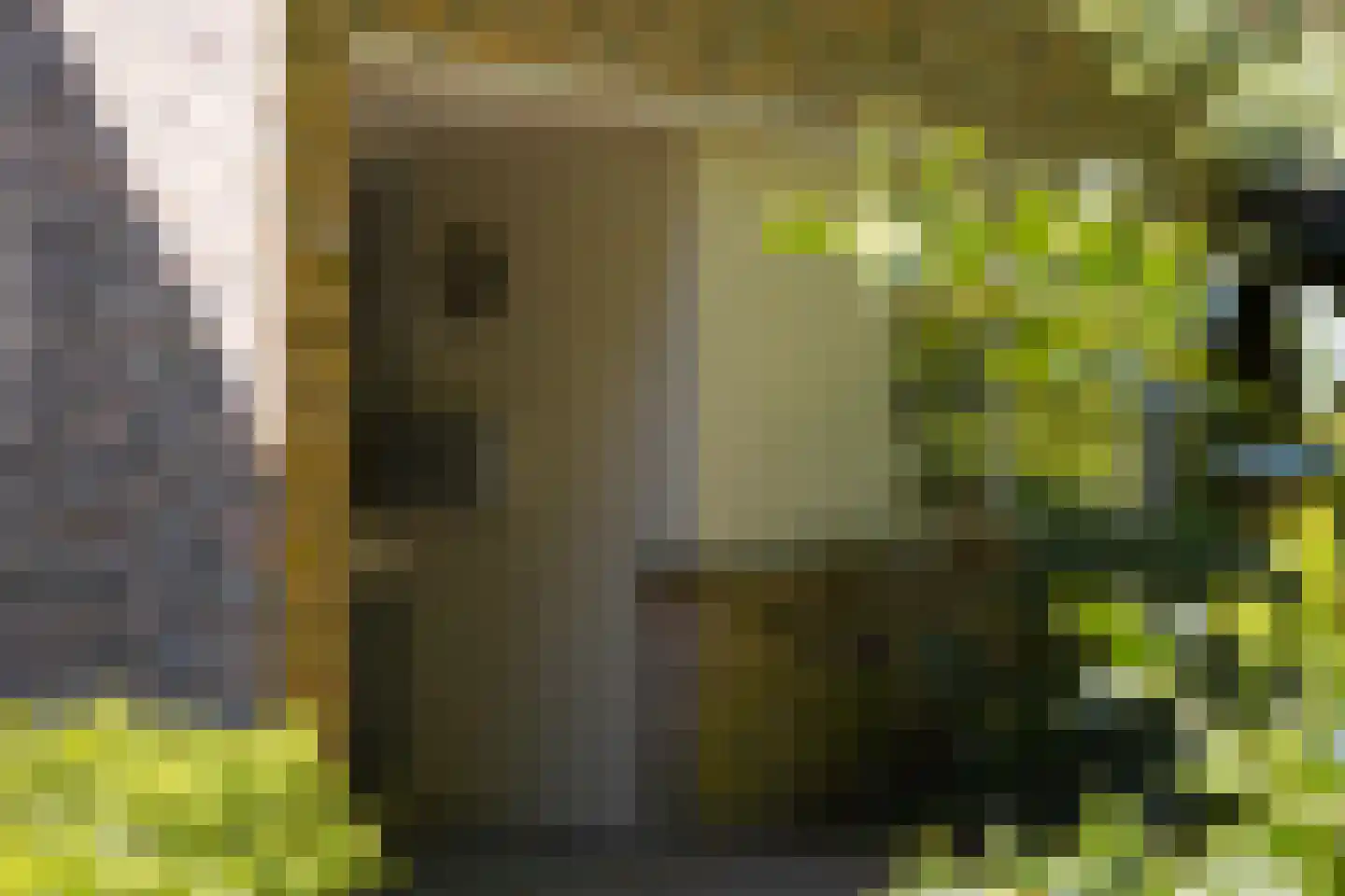 Uytenbosch 38 Baarn thumbnail 7