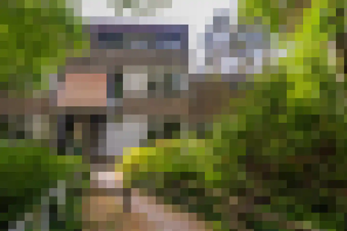 Uytenbosch 41 Baarn