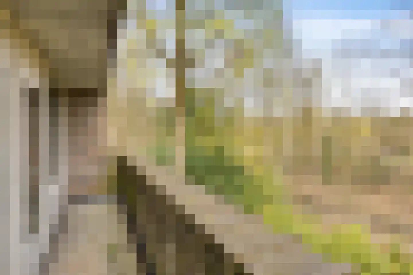 Uytenbosch 41 Baarn thumbnail 16
