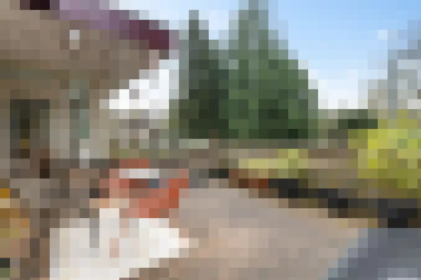 Uytenbosch 41 Baarn thumbnail 20