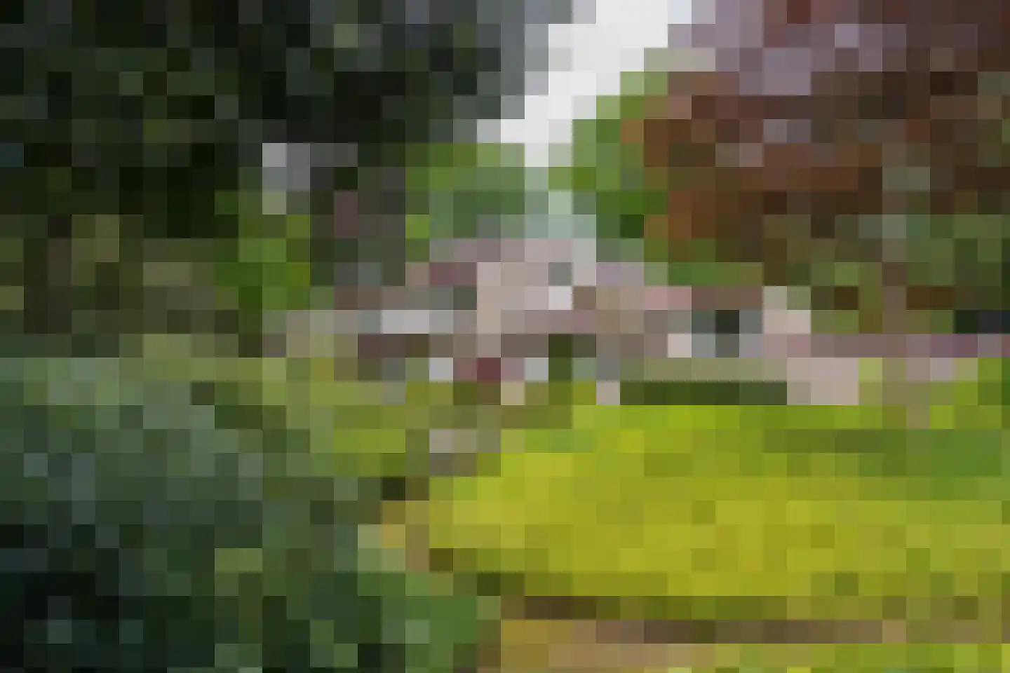 Uytenbosch 41 Baarn thumbnail 21