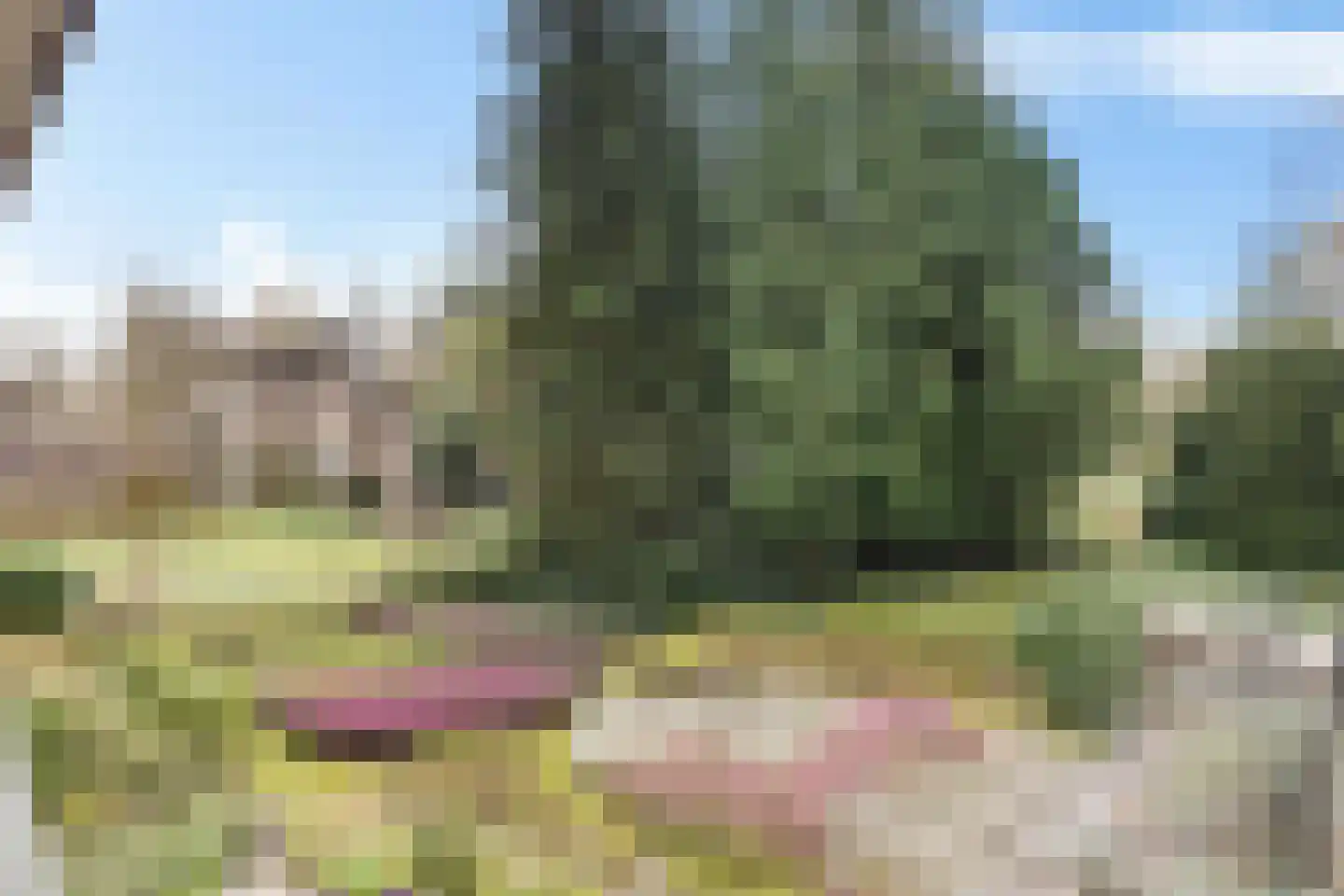 Uytenbosch 41 Baarn thumbnail 22