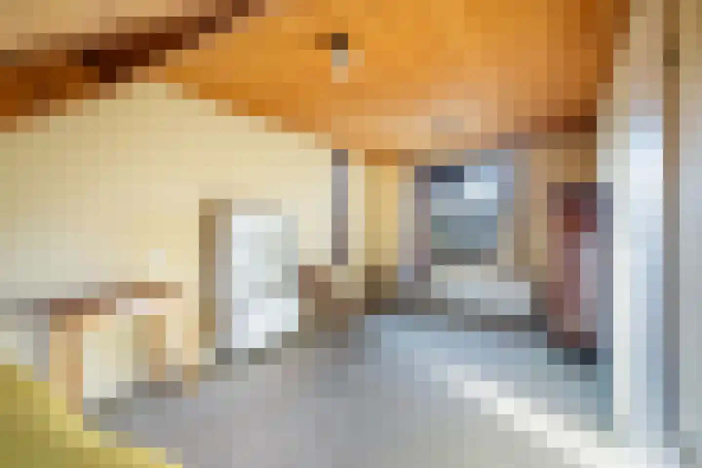 V.d. Duijn van Maasdamlaan 4 Woerden thumbnail 19