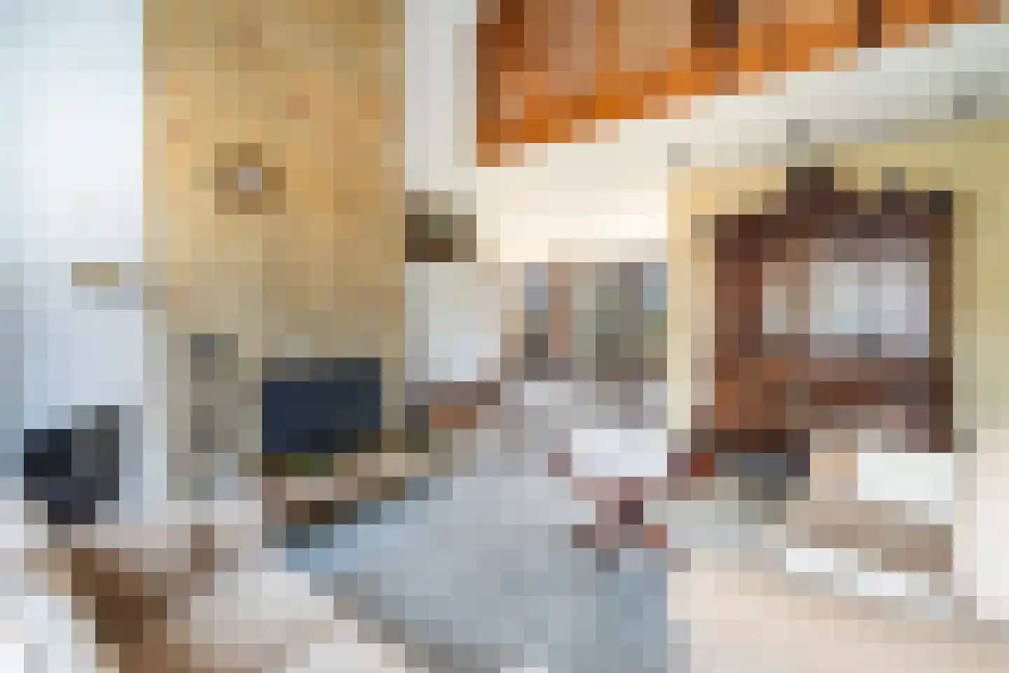 V.d. Duijn van Maasdamlaan 4 Woerden thumbnail 9