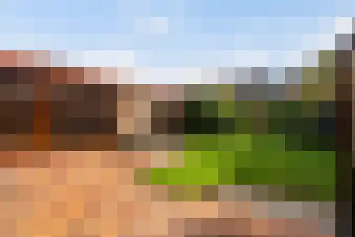 V.d. Duijn van Maasdamlaan 6 Woerden thumbnail 26