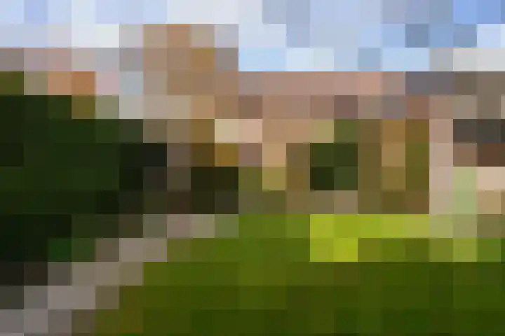 V.d. Duijn van Maasdamlaan 6 Woerden thumbnail 27