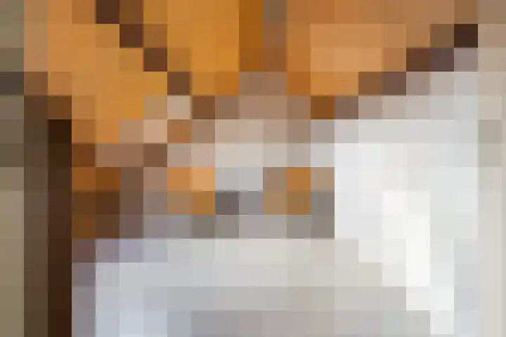 V.d. Duijn van Maasdamlaan 6 Woerden thumbnail 47