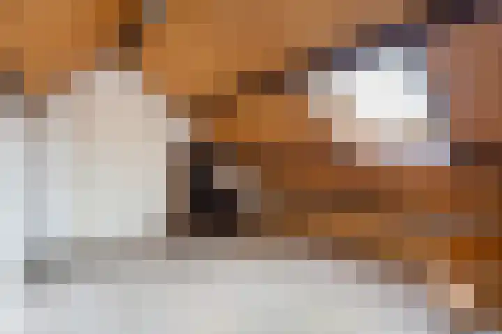 V.d. Duijn van Maasdamlaan 6 Woerden thumbnail 48