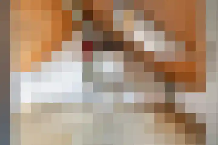 V.d. Duijn van Maasdamlaan 6 Woerden thumbnail 49