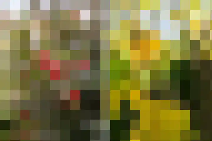 V.d. Duijn van Maasdamlaan 6 Woerden thumbnail 52