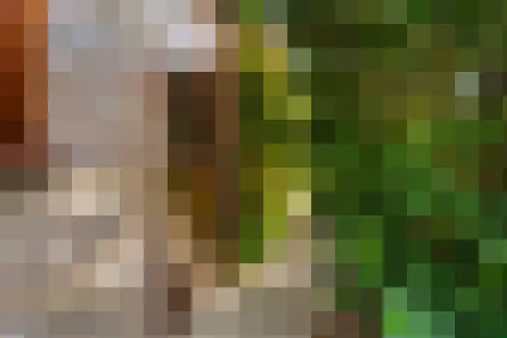V.d. Duijn van Maasdamlaan 6 Woerden thumbnail 53