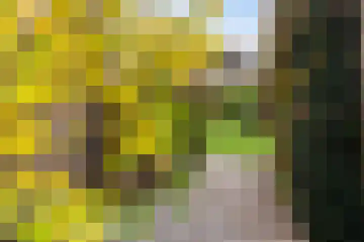 V.d. Duijn van Maasdamlaan 6 Woerden thumbnail 55