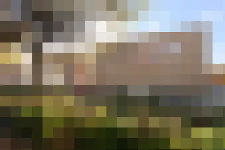 V.d. Duijn van Maasdamlaan 6 Woerden thumbnail 58