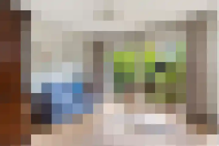 V.d. Duijn van Maasdamlaan 60 Woerden thumbnail 10