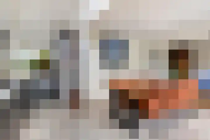 V.d. Duijn van Maasdamlaan 60 Woerden thumbnail 13