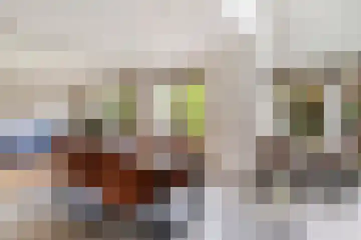 V.d. Duijn van Maasdamlaan 60 Woerden thumbnail 15