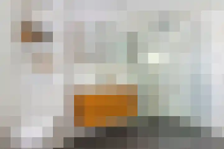 V.d. Duijn van Maasdamlaan 60 Woerden thumbnail 19
