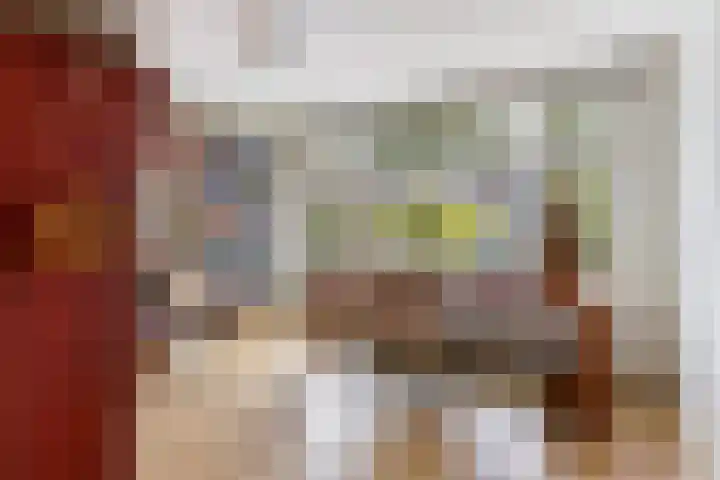 V.d. Duijn van Maasdamlaan 60 Woerden thumbnail 24