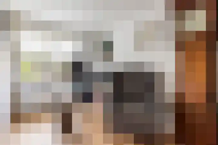 V.d. Duijn van Maasdamlaan 60 Woerden thumbnail 25