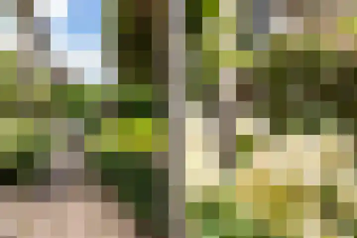 V.d. Duijn van Maasdamlaan 60 Woerden thumbnail 33