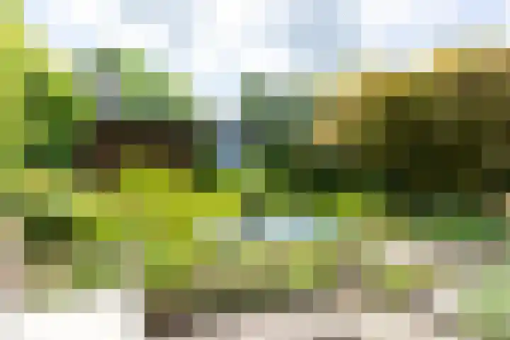 V.d. Duijn van Maasdamlaan 60 Woerden thumbnail 34