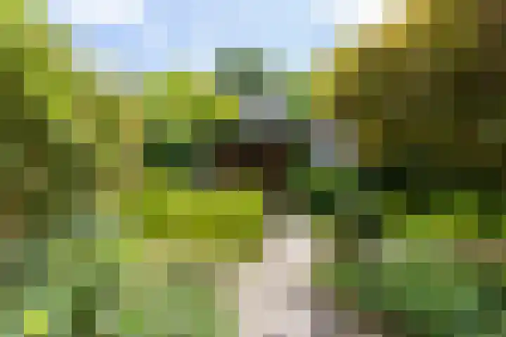 V.d. Duijn van Maasdamlaan 60 Woerden thumbnail 35