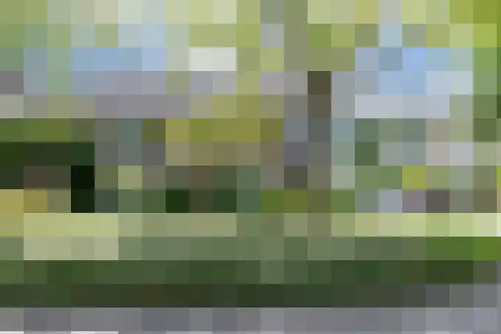 V.d. Duijn van Maasdamlaan 60 Woerden thumbnail 39