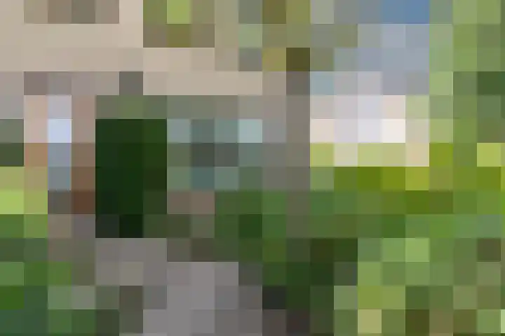 V.d. Duijn van Maasdamlaan 60 Woerden thumbnail 4