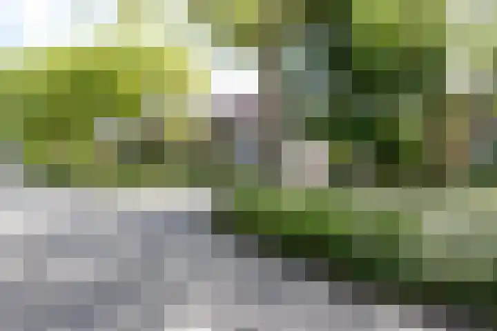 V.d. Duijn van Maasdamlaan 60 Woerden thumbnail 40