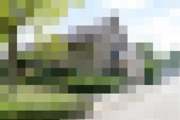 V.d. Duijn van Maasdamlaan 60 Woerden thumbnail 48