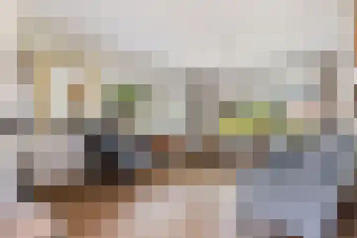 V.d. Duijn van Maasdamlaan 60 Woerden thumbnail 6