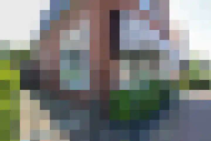 v d Meerweg 1 Oostvoorne thumbnail 13