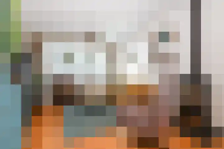 v d Meerweg 1 Oostvoorne thumbnail 26