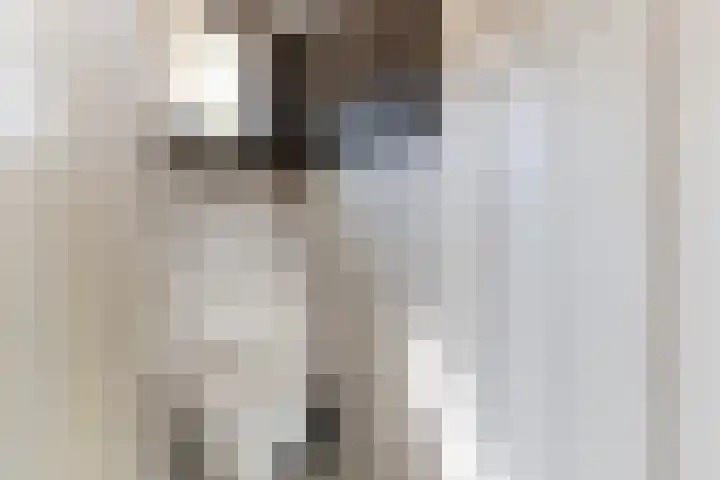 v d Meerweg 1 Oostvoorne thumbnail 35