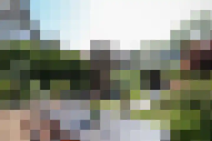 v d Meerweg 1 Oostvoorne thumbnail 5