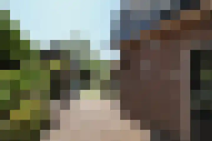 v d Meerweg 1 Oostvoorne thumbnail 51