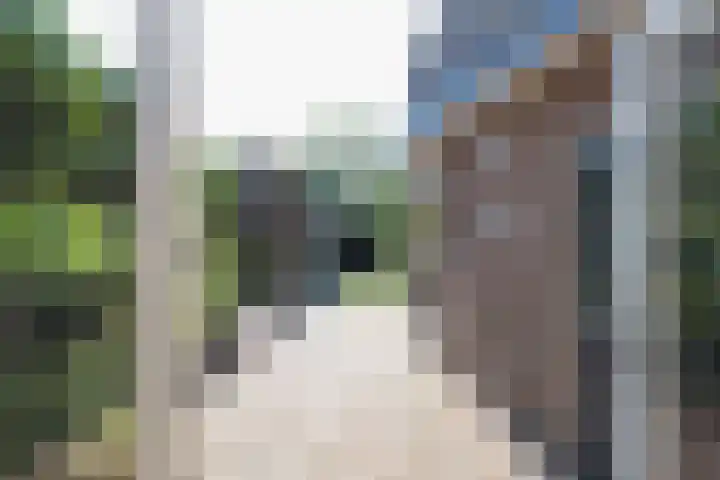 v d Meerweg 1 Oostvoorne thumbnail 52