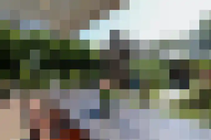 v d Meerweg 1 Oostvoorne thumbnail 53