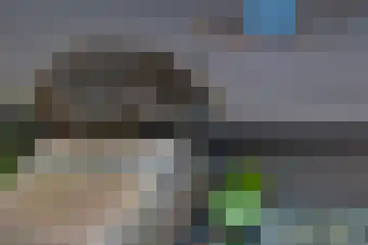 v d Meerweg 1 Oostvoorne thumbnail 6