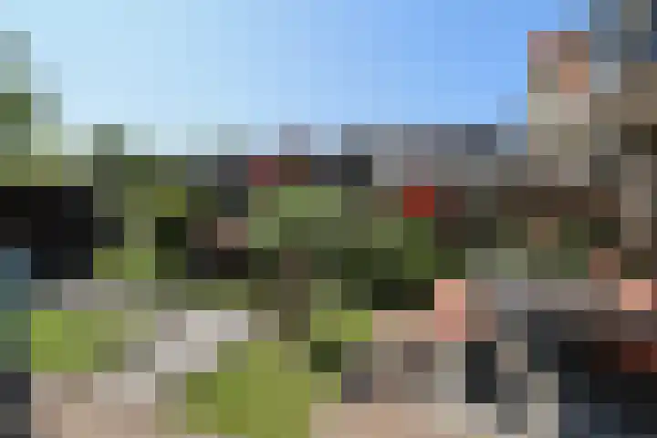 v d Meerweg 1 Oostvoorne thumbnail 61
