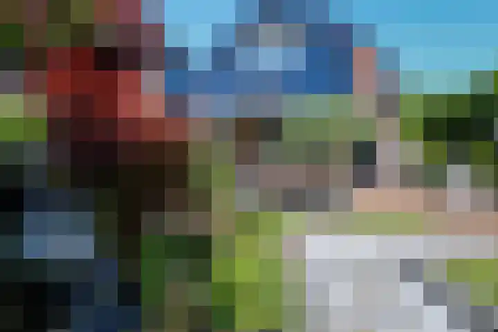 v d Meerweg 1 Oostvoorne thumbnail 62