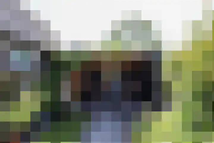 v d Meerweg 1 Oostvoorne thumbnail 67