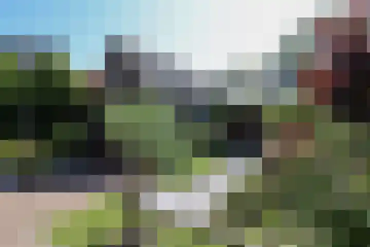 v d Meerweg 1 Oostvoorne thumbnail 68