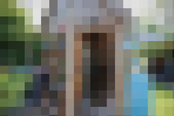 v d Meerweg 1 Oostvoorne thumbnail 69