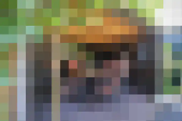 v d Meerweg 1 Oostvoorne thumbnail 7