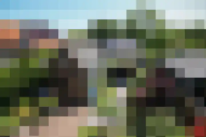 v d Meerweg 1 Oostvoorne thumbnail 70