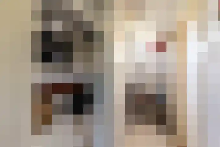 v d Meerweg 5 b Oostvoorne thumbnail 20