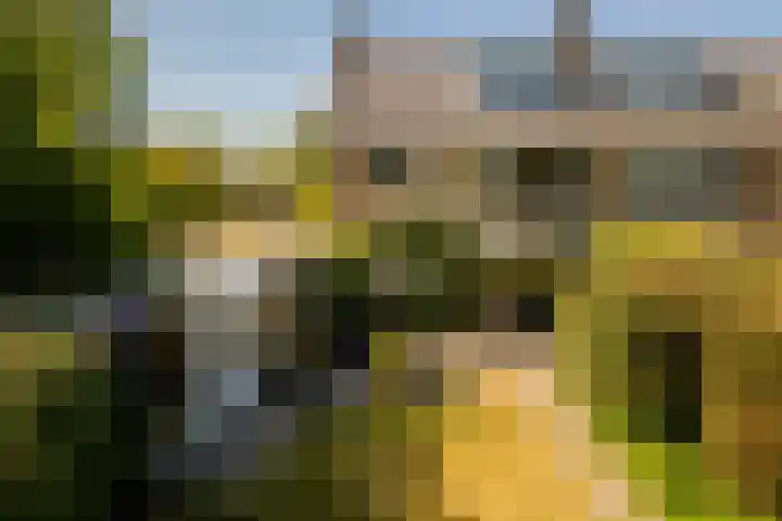 v d Meerweg 5 b Oostvoorne thumbnail 39