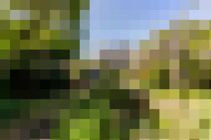 v d Meerweg 5 b Oostvoorne thumbnail 4